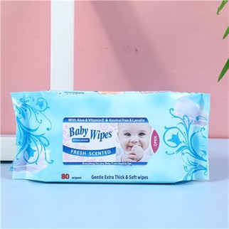 بائیوڈیگریڈیبل ٹریول وائپس